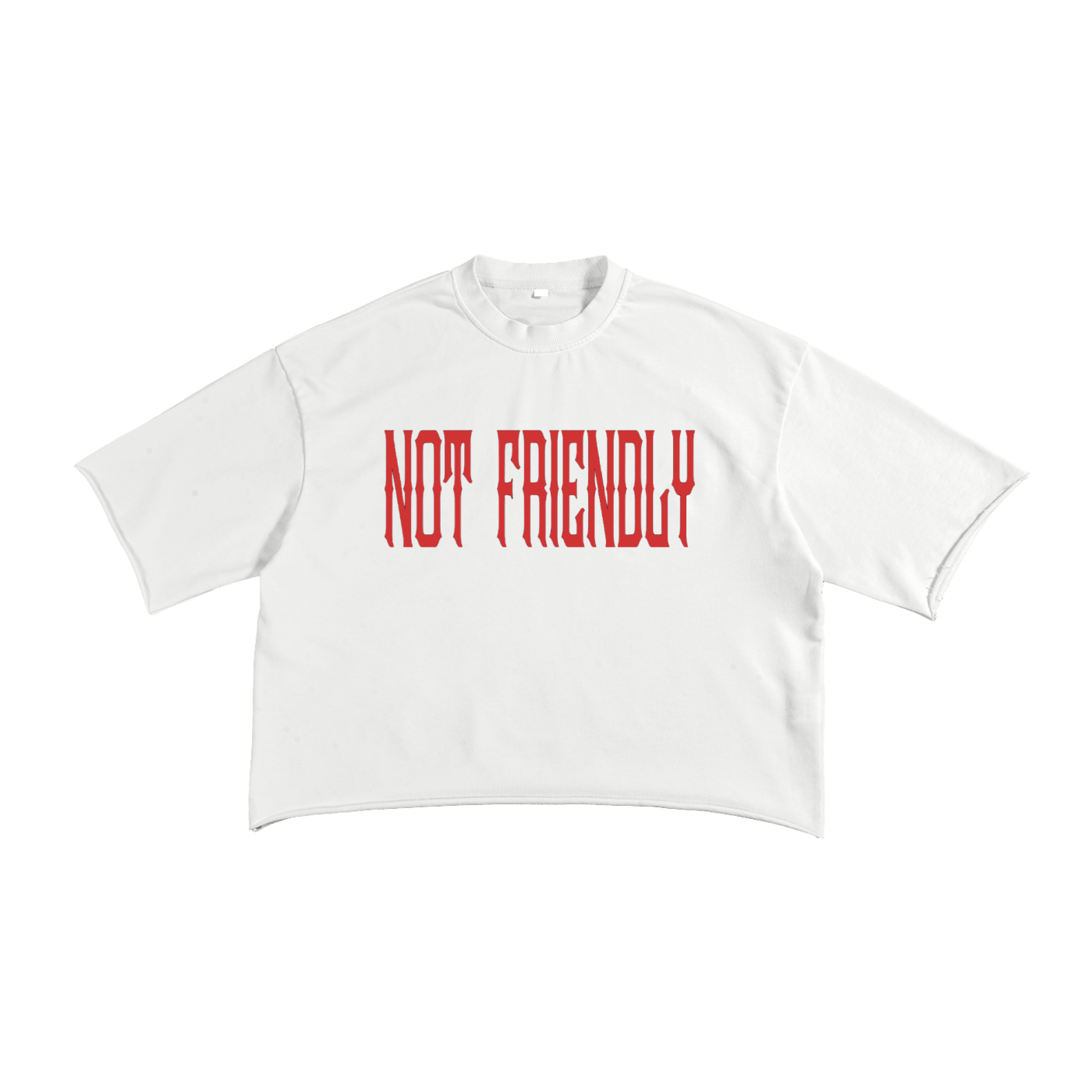 "NXTFRIENDLY" French Terry Raw Edge T-Shirt