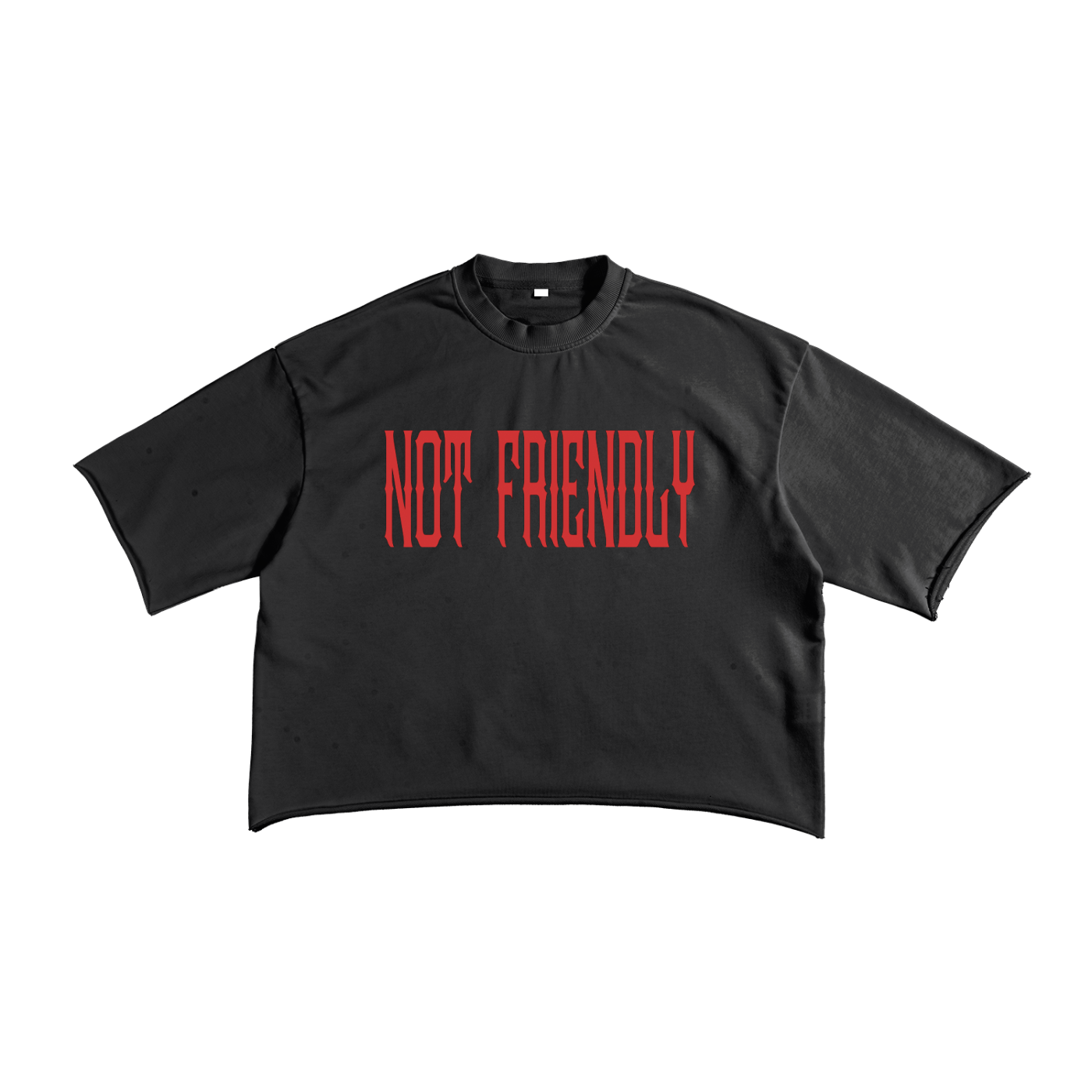 "NXTFRIENDLY" French Terry Raw Edge T-Shirt